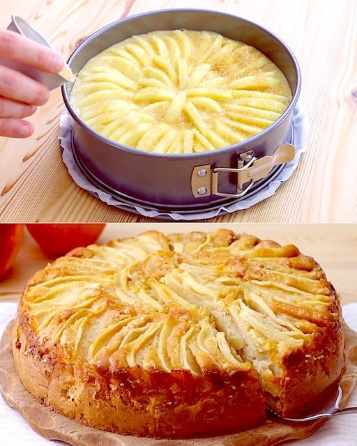 APPLE CAKE
