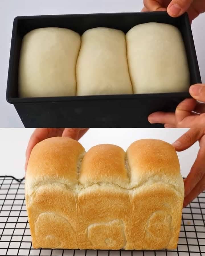 Bread Recipe