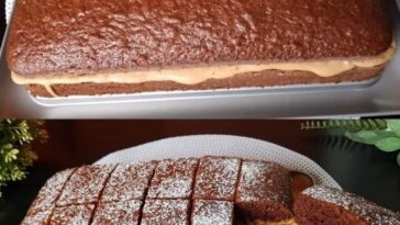 Chocolate Coffee Cake with Lotus