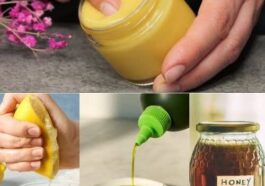 Slow Down Aging with Olive Oil